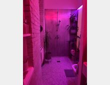 Ein modernes Badezimmer mit einer offenen Dusche, Fliesenboden und einer beleuchteten Wand in pink-violettem Licht. Pflanzen auf Regalen und in Töpfen dekorieren den Raum, der teilweise eine freiliegende Ziegelwand zeigt.