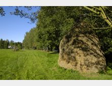 Wiese mit einem großen Heuhaufen, umgeben von grünen Bäumen und einer schmalen Sandstraße im Hintergrund. Links sind Holzkonstruktionen zu sehen, die möglicherweise als Unterstand oder Schaukel dienen.