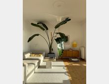 Bright living room with white walls and wooden floors, featuring a large potted tropical plant with broad leaves, a light gray sectional sofa, and a low rectangular coffee table on a pale rug. A wire-frame pendant light hangs from the ceiling above, and a wooden sideboard with a table lamp and framed artwork sits against the back wall.