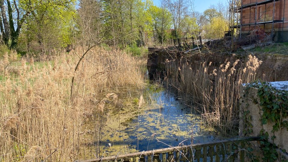 Blick auf einen schmalen, von Schilf und Wasserpflanzen bewachsenen Wassergraben zwischen Bäumen und dichter Ufervegetation. Rechts steht ein Gebäude mit Gerüst an einer gemauerten Ufermauer; im Vordergrund ist ein verwittertes Metallgeländer zu sehen.