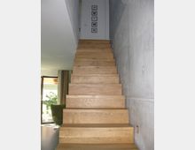 Holztreppe in einem modernen Innenraum, mit einer Betonwand auf der rechten Seite. Im Hintergrund sind eine Tür, gerahmte Schmetterlingsbilder an der Wand und ein Wohnbereich mit einem Fenster sichtbar, das auf einen Garten blickt.