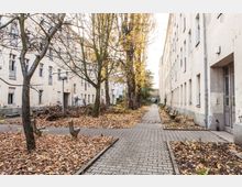 Ein gepflasterter Gehweg führt durch einen Innenhof, der von mehreren mehrstöckigen, hellen Wohngebäuden umgeben ist. Auf beiden Seiten des Weges stehen Bäume mit Herbstlaub sowie Bänke, und der Boden ist mit herabgefallenem Laub bedeckt.
