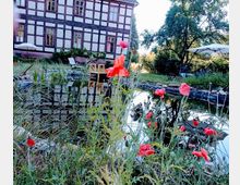Fachwerkhaus mit Blick auf einen kleinen Teich, umrahmt von roten Mohnblumen und grüner Wiese; im Hintergrund stehen ein Sonnenschirm, Gartenstühle und Bäume.