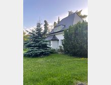 Weißes Einfamilienhaus mit dunklem Schrägdach und einem Dachfenster, umgeben von Rasen, einem Nadelbaum und weiteren Büschen; im Hintergrund sind hohe Bäume zu sehen.