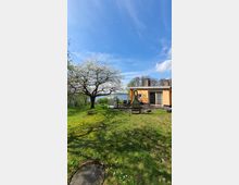 Ein Garten mit grüner Rasenfläche, einem blühenden Baum und Blick auf ein Gewässer im Hintergrund. Rechts steht ein flaches, gelbes Einfamilienhaus mit einer Terrasse, auf der Gartenmöbel und ein Grill stehen.