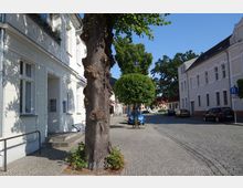Straßenszene in einer ruhigen Wohngegend mit gepflastertem Gehweg und Straße, gesäumt von Bäumen. Links und rechts stehen historische, helle Wohnhäuser mit großen Fenstern, im Hintergrund sind geparkte Autos und weitere Gebäude zu sehen.