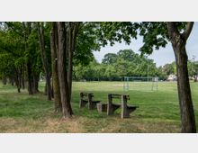 Grünfläche mit Bäumen am Rand, drei Holzbänken im Vordergrund und einem Fußballtor in der Mitte des offenen Rasens. Im Hintergrund sind weitere Bäume und vereinzelte Gebäude sichtbar.