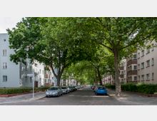 Wohnstraße mit Kopfsteinpflaster, gesäumt von mehrstöckigen Wohngebäuden aus Putz und Klinker. Große, grüne Bäume spenden Schatten, und beidseitig der Straße sind Autos geparkt.