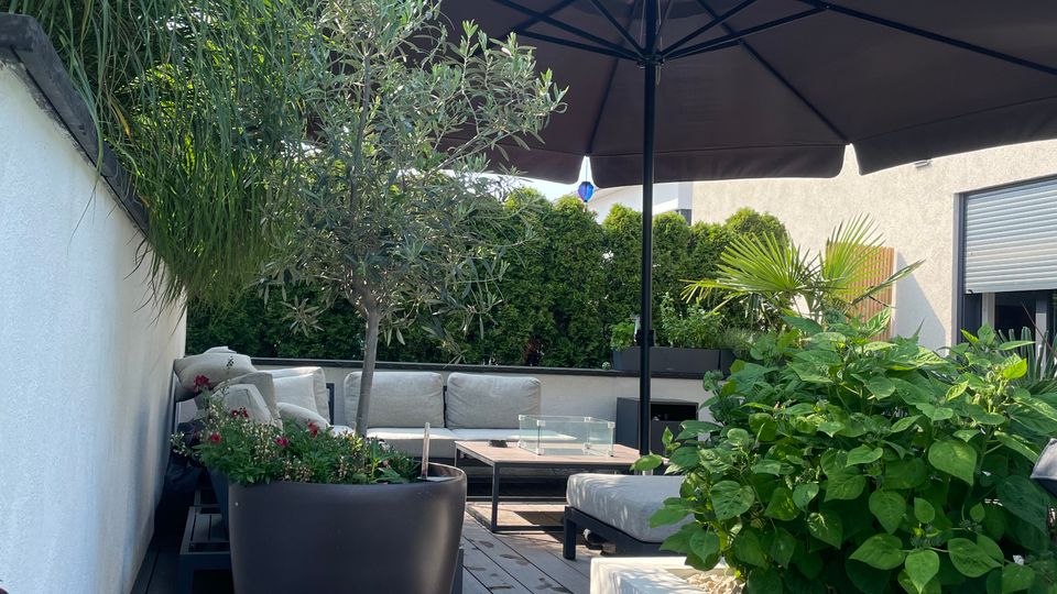 Moderne Terrasse mit Holzfußboden, umgeben von weißen Wänden und dichter Bepflanzung in großen Töpfen. Im Mittelpunkt steht ein schwarzer Sonnenschirm über einer Sitzecke mit hellen Polstermöbeln, ergänzt durch Pflanzen in Blumenbeeten und Töpfen.