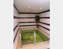 Kleines Hallenbad mit Fliesenwänden in weiß und blauen Streifen, einem eingelassenen rechteckigen Becken mit Metallgeländern und einer Topfpflanze in einer Ecke. Deckenbeleuchtung mit mehreren eingebauten Spots.