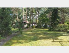 Grüne Wiese in einem von hohen Kiefern und dichten Bäumen umgebenen Waldstück, mit vereinzelten einfachen Gebäuden im Hintergrund, die teilweise von Bäumen verdeckt sind. Ein schmaler gepflasterter Weg führt durch die Vegetation.