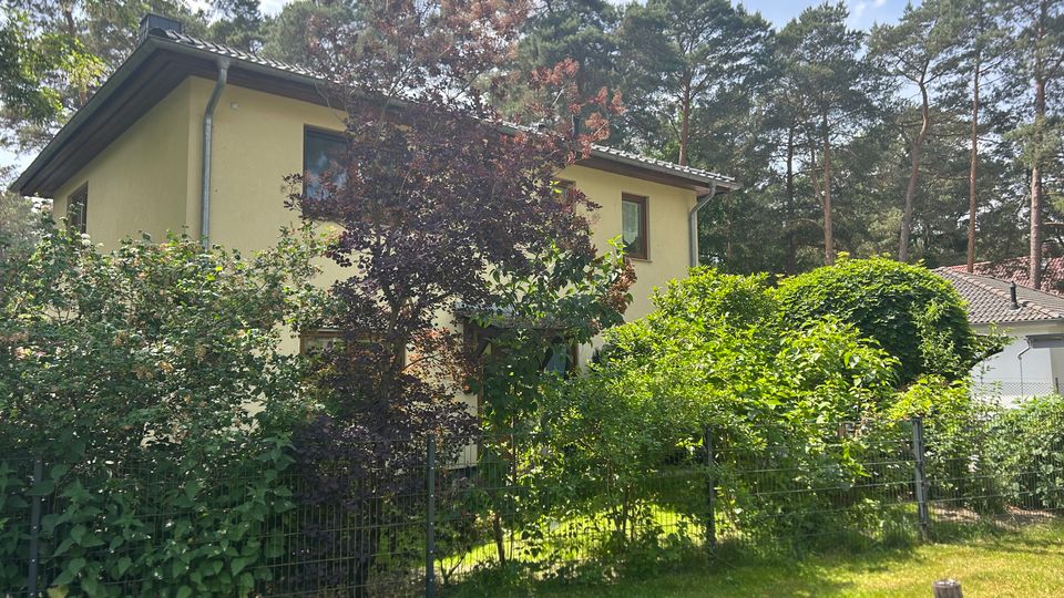 Zweistöckiges Wohnhaus mit hellgelber Fassade und Satteldach, teilweise von dichtem Gartenbewuchs und einem Zaun im Vordergrund verdeckt. Im Hintergrund stehen hohe Kiefern, die das Haus in eine waldnahe Wohngegend einbetten.