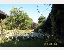 Ein Garten mit einer gepflasterten Wegbiegung, umgeben von weißen Blumen und Büschen. Im Hintergrund befinden sich Bäume, während rechts ein mit Efeu bewachsenes Gebäude sichtbar ist.