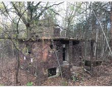 Backsteingebäude in ruinösem Zustand im Wald, mit offenem Eingangsbereich und teilweise überwachsenem Dach; umgeben von kahlen und belaubten Bäumen.