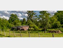 Weide mit zwei schwarzen Pferden, die neben einer kleinen, einfachen Holzhütte grasen. Umgeben von hohen Bäumen und einer Wiese, im Vordergrund ein Holzzaun und ein Erdhaufen.