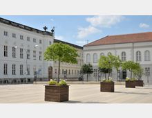 Großer, gepflasterter Platz mit mehreren rechteckigen Pflanzkästen, in denen kleine Bäume und Blumen wachsen. Im Hintergrund stehen helle, historische Gebäude mit weißen Fassaden, einem roten Ziegeldach und großen Fensterreihen.