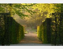 Ein schmaler, von Hecken gesäumter Weg in einem Park, von Sonnenlicht durchflutet, mit Bäumen im Hintergrund und einem leicht kurvenden Pfad.