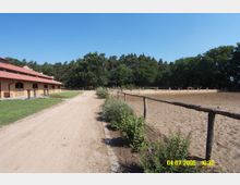 Ein Reiterhof mit einem langen Stallgebäude aus Holz und roten Dächern links im Bild, einem sandigen Reitplatz rechts, der von einem Zaun umgeben ist, und einem Wald im Hintergrund. Ein unbefestigter Weg verläuft zwischen Stall und Reitplatz, gesäumt von niedrigen Büschen und Blumen.