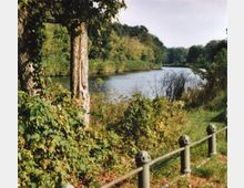 Naturlandschaft mit einem ruhigen Fluss, umgeben von dicht bewachsenen Ufern mit Bäumen und Sträuchern. Im Vordergrund steht ein metallisches Geländer, das den Weg vom Ufer abgrenzt.