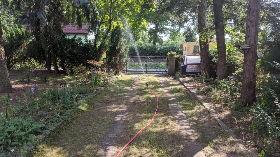 Schattiger Gartenweg mit zwei Betonspuren führt durch Bäume und Beete zu einem blauen Metalltor vor einer Hecke. Ein Rasensprenger bewässert den Wegbereich, ein roter Gartenschlauch liegt am Boden.