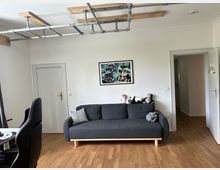 Wohnzimmer mit Holzboden, grauem Sofa und verschiedenen Kuscheltieren darauf. An der Decke sind metallene Kletterstangen befestigt, an der Wand hängt ein gerahmtes Bild, und es sind zwei Türen zu sehen.