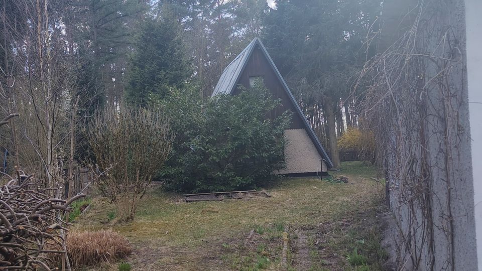 Kleiner Garten am Waldrand mit Rasenfläche und Sträuchern, im Hintergrund ein A‑Frame-Häuschen mit steilem Dreiecksdach. Rechts verläuft eine hohe Hauswand mit Kletterpflanzen; ringsum stehen hohe Nadelbäume unter blauem Himmel.