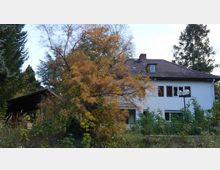 Zweistöckiges Wohnhaus mit weißer Fassade und braunen Fensterläden, umgeben von dichtem Bewuchs und einem größeren Baum mit gelblichem Laub im Vordergrund. Links neben dem Haus befindet sich ein überdachter Holzunterstand, rechts daneben eine Straßenlaterne.