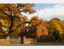 Backsteinhaus mit geschwungenem Giebel, von roten Kletterpflanzen bedeckt, umgeben von herbstlich verfärbten Bäumen; im Vordergrund eine alte Backsteinmauer mit Holztor.