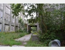 Verlassene Industrieanlage mit hohen Betonwänden, teils mit Graffiti bedeckt. Der Bereich ist von wuchernder Vegetation umgeben, mit einem schmalen Pfad und Treppen, die in das Gebäude führen, sowie einigen Bäumen im Vordergrund.