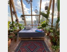 Ein heller Raum mit großen, schrägen Glasfenstern, durch die blauer Himmel und eine städtische Kulisse sichtbar sind. Im Vordergrund steht ein Bett auf einer Holzpalette, umgeben von zahlreichen Topfpflanzen, einer bunten Decke und einem gemusterten Teppich auf dem Boden.