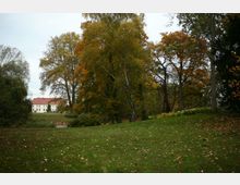 Eine weitläufige Parklandschaft mit grüner Rasenfläche und Bäumen in herbstlicher Färbung, im Hintergrund ein großes weißes Gebäude mit rotem Dach, umgeben von weiteren Bäumen.