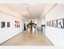 Heller Raum einer modernen Kunstgalerie mit weißen Wänden, an denen abstrakte Kunstwerke hängen. Im Vordergrund steht eine Person vor einer Ausstellung, und im Hintergrund befindet sich eine große Topfpflanze sowie ein Bereich mit Sitzgelegenheiten.