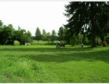 Grüne Wiese mit einzelnen Bäumen und Sträuchern, zwei Personen reiten auf Pferden in der Bildmitte, während eine weitere Person mit einem Pferd am rechten Bildrand zu Fuß geht. Im Hintergrund sind weitere Bäume und offene Wiesen zu sehen.