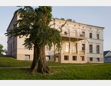Historisches zweistöckiges Gebäude mit heller Fassade und mehreren Fenstern, ergänzt durch Balkone mit schmiedeeisernen Geländern. Im Vordergrund steht ein großer Baum, umgeben von einer grünen Wiese.