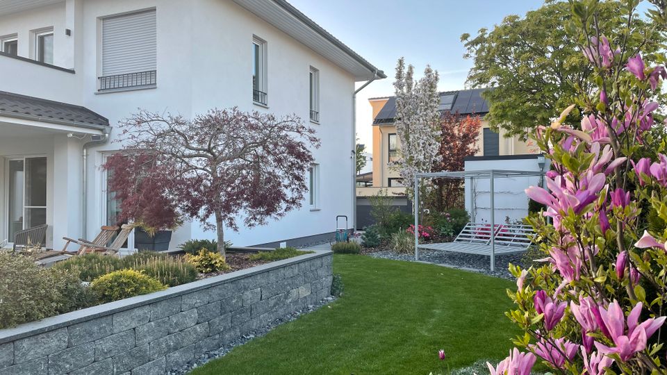 Garten neben einem modernen, weißen Einfamilienhaus mit Rasenfläche, niedriger Steinmauer und bepflanzten Beeten. Rechts stehen blühende Magnolien und weitere Zierbäume, im Hintergrund ist ein offenes Gartenpavillon mit Sitzbank und Nachbarhäusern zu sehen.