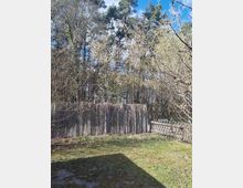 Blick in einen Garten mit Grasfläche und einem Holz-Sichtschutzzaun, daneben ein geöffnetes Holztor. Dahinter dichter Waldrand mit hohen Kiefern und laubfreien Sträuchern unter blauem Himmel.