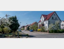 Wohnstraße in einer Vorstadt mit Einfamilienhäusern, teilweise verputzt und mit roten Dächern. Blühende Bäume und gepflegte Vorgärten flankieren die Straße, auf der ein geparktes Auto und ein Straßenlaterne zu sehen sind.