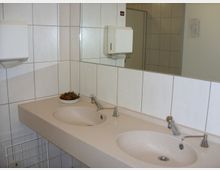 Waschraum mit zwei beigefarbenen Waschbecken in einer durchgehenden Arbeitsfläche, darüber ein großer Spiegel. Die Wände sind mit weißen Fliesen verkleidet, daneben befinden sich ein Papierhandtuchspender und ein Drahtkorb. Auf der Arbeitsfläche steht eine kleine Schale mit Deko.