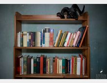 Holzregal mit mehreren Reihen von Büchern; oben auf dem Regal steht ein schwarzer Schädel eines Tieres mit großen, gebogenen Hörnern. Die Wand im Hintergrund ist grünlich und leicht abblätternd.