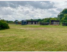 Weite Wiese mit mehreren Holzhütten, einem Pferdeanhänger und einigen Paletten, umgeben von vereinzelten Bäumen und Buschwerk. Im Hintergrund ist ein bewölkter Himmel zu sehen.