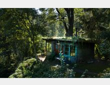 Kleines Holzhaus mit begrüntem Dach, umgeben von dichtem Wald und üppiger Vegetation. Im Vordergrund führen ein Pfad und schattige Büsche zum Gebäude.