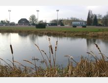 Ein kleiner Teich mit Schilfpflanzen im Vordergrund, umgeben von Wiesen und Sportanlagen im Hintergrund, darunter ein Gebäude, Flutlichtmasten und Bäume.