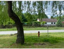 Ein grüner Garten mit einem gebogenen Baum im Vordergrund, einem Hydranten und einer gepflasterten Straße im Hintergrund. Dahinter stehen ein Zaun und ein weißes Gebäude mit roten Dachziegeln.