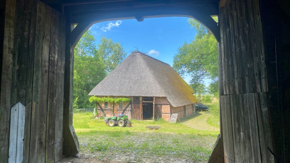 Blick aus einer dunklen Holztoröffnung auf einen ländlichen Hof mit einem reetgedeckten Fachwerk- und Backsteingebäude. Davor liegen eine Wiese und ein Schotterbereich, umgeben von Bäumen unter blauem Himmel.