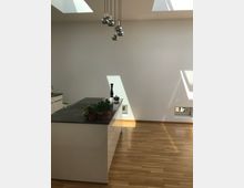 Minimalistische Küchenansicht mit einer schwarzen Arbeitsplatte und einer weißen Kochinsel, darauf stehen Zimmerpflanzen und Küchenutensilien. Der Raum hat helle Holzböden, glatte weiße Wände, Oberlichter und eine hängende Metallleuchte.