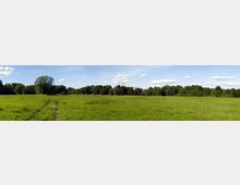 Weite grüne Wiese mit vereinzelten Graswegen, umgeben von dicht bewaldeten Bäumen am Horizont. Der Himmel ist klar mit wenigen weißen Wolken.