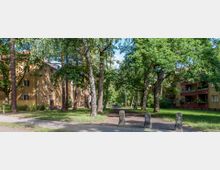 Wohngebiet mit mehrstöckigen gelb- und rotbraunen Wohnhäusern, umgeben von großen Bäumen und einer Grünfläche. Ein schmaler Weg führt zwischen den Gebäuden hindurch, gesäumt von Schatten spendenden Bäumen.