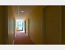 Langer, schmaler Flur in einem Gebäude mit gelben Wänden und einer roten Teppichboden-Auslage. Auf beiden Seiten befinden sich helle Türen, und am Ende des Flurs ist ein Fenster mit Blick auf grüne Vegetation zu sehen, daneben steht eine Topfpflanze.