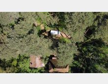 Luftaufnahme eines Waldgebiets mit dichtem Baumbewuchs, zwei teilweise sichtbaren Gebäuden mit Ziegeldächern und einem geparkten weißen Auto auf einem schmalen Weg. Die Umgebung ist von dickem Grün und Schatten bedeckt.