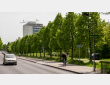 Straßenansicht in einem Stadtteil mit Grünflächen, Bäumen entlang des Gehweges und einem Wohngebäude im Hintergrund. Auf dem Dach des Gebäudes befindet sich eine Skulptur mit Figuren, die auf einer Stange balancieren, daneben ein Schild mit der Aufschrift „Hellersdorf“.